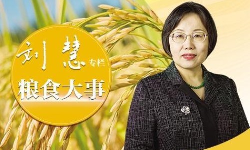 油豆腐果的家常做法-油豆腐 吃法-专业油豆腐吃法与做法大全平台-油豆腐的图片